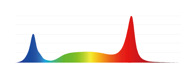 3f982feff11197b8e3870ae51b670387.png